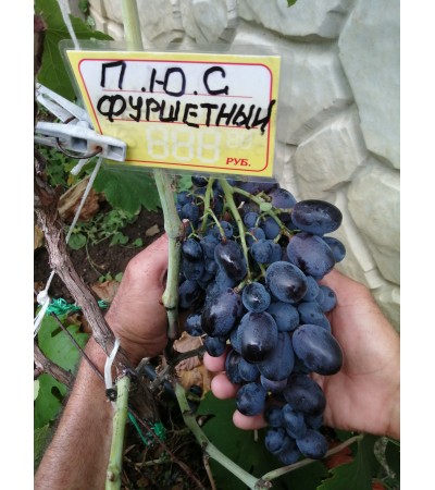 Фуршетный